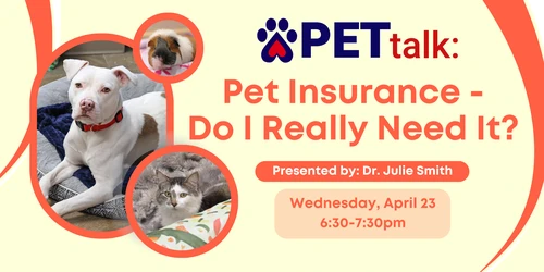 Happy dog covered by insurance in Colorado